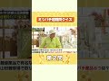 超難問！！ミツバチクイズ2問目に新入社員が挑戦！｜山田養蜂場　#shorts #ミツバチ #蜂