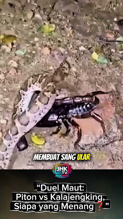 “Death Duel: Python vs Scorpion, Who Wins❓” #shorts #viral #viralvideo