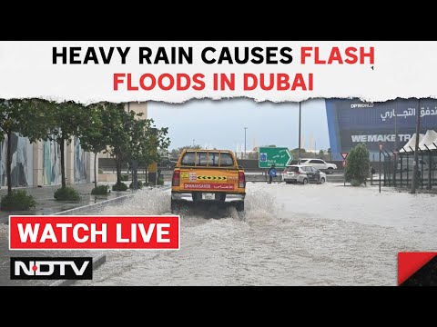 Dubai Flood News | Dubai Under Water, Metro Station Submerged, Cars Abandoned On Road &amp; Other News