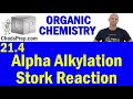 Organic Chemistry: Alpha Alkylation and Stork Reaction