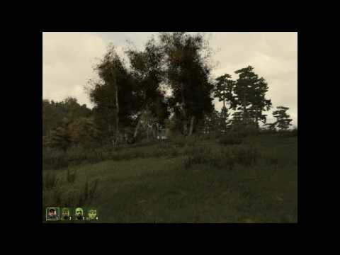 ArmA 2 -