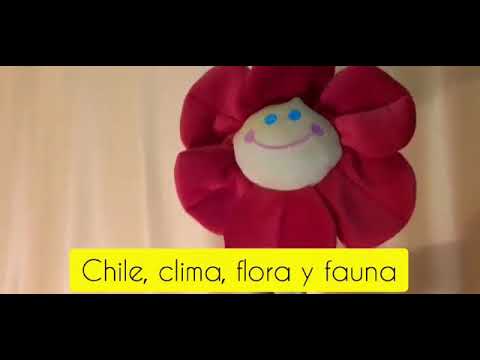 Chile: clima ,flora y fauna