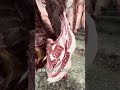 〜としみお肉販売中〜