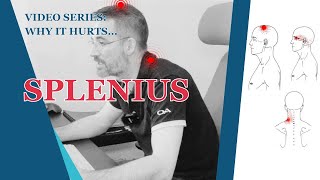 Effective Stretch For The Splenius Capitus Muscle | STOP Neck Pain, Headaches, Eye Pain