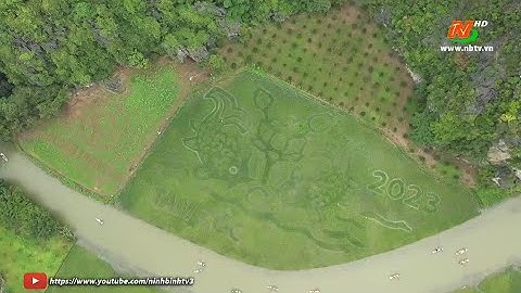 Tác phẩm nghệ thuật của cánh đồng lúa Tam Cốc