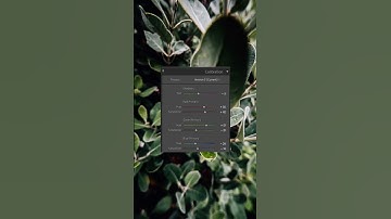 Free "Flowers" Lightroom Mobile Preset Tutorial | DNG & XMP Free Download | Presetum