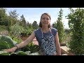 When and How to Harvest Vegetables – In the Alaska Garden with Heidi Rader