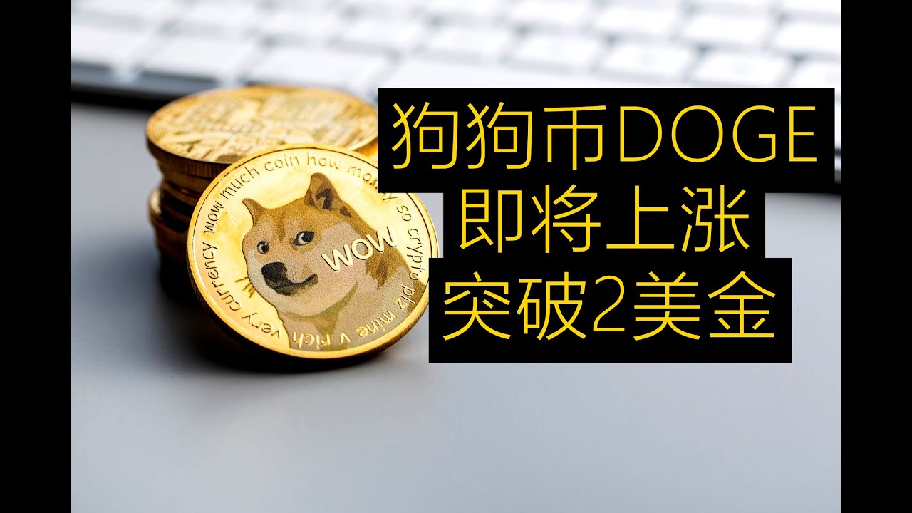 DOGE暴涨，普通人最后的机会】狗狗币本轮会上涨突破2美金！！抓住了这一次就能够财富自由跃迁，如果抓不住，以后再也没有机会啦，太可惜了-