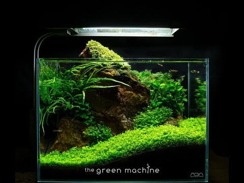 Red Rock Nano Aquascape by James Findley