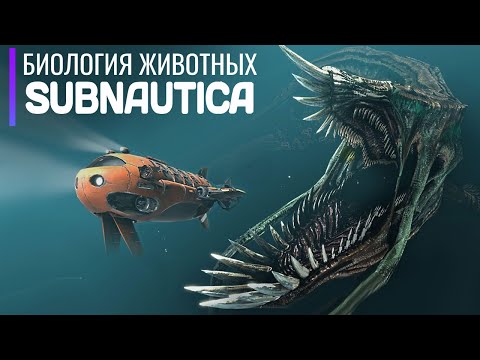 видео: Биология экосистемы SUBNAUTICA. От мелких рыбок до титанов-Левиафанов