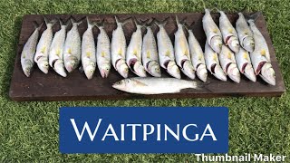 Waitpinga Fishing