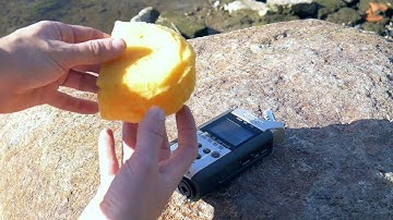 How to quickly Make a Dead Cat Microphone Wind Screen