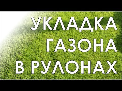 Укладка газона в рулонах | Технология газона