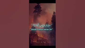 #القرآن_الكريم #سورة-يونس-آية-٢٤#استغفر_الله #لا_اله_الا_الله