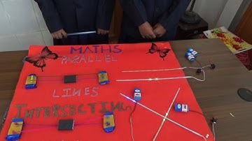 Parallel and Intersecting Lines || Maths Project ||