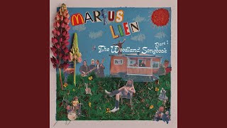 Video thumbnail of "Marius Lien - Day By Day"