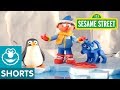 Sesame Street: Penguin | Bert and Ernie's Great Adventures