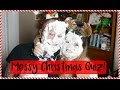 Messy Christmas quiz! | Sophie Clough