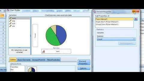 Ask Phil SPSS: measurement box in Variable View