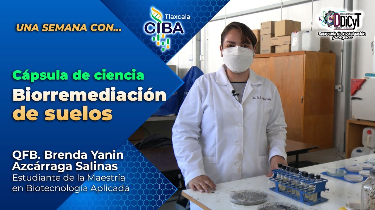 Biorremediación de suelos - QFB. Brenda Yanin Azcárraga SalinasEstudiante de maestría
