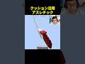 ドリームも愛用クッション
