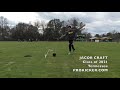 Jacob Craft, Kicker, Tennessee, Class of 2021