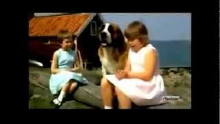 Vacanze Nellisola Dei Gabbiani