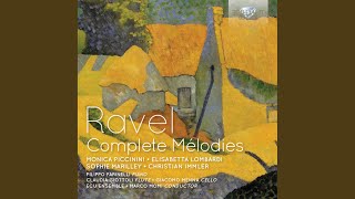 Un grand sommeil noir in C-Sharp Minor, M. 6