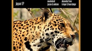 Phable - Jaguar (Original Mix) | Tech House | Dark Techno | Xone 43 Feature Track
