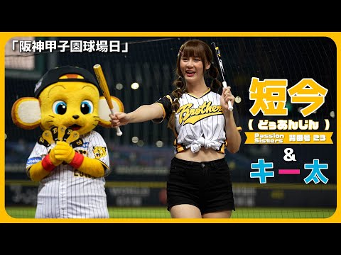 キー太 & 短今（Sammie）サミー Passion Sisters 中信兄弟啦啦隊 臺中洲際棒球場 2023/06/10【台湾チアTV】