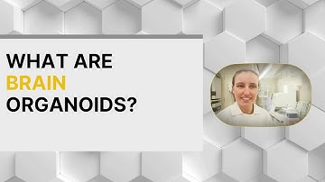 What are brain organoids? - 12/20/2024