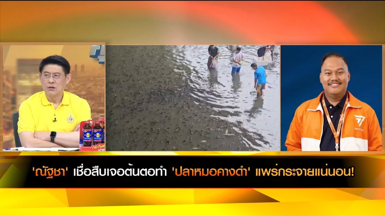 'ณัฐชา' เชื่อสืบเจอต้นตอทำ 'ปลาหมอคางดำ' แพร่กระจายแน่นอน!