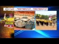 TDP Mahanadu to be a grand show; arrangements on
