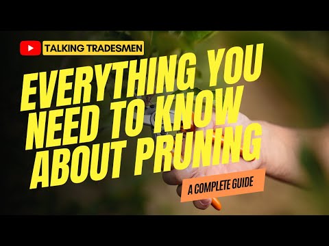 What is Pruning?