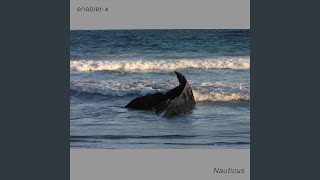Dark Whale - enabler-x