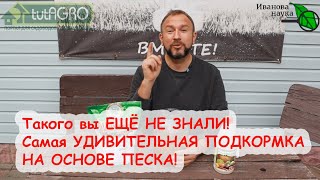 ОГУРЦЫ МИГОМ ПОЙДУТ В РОСТ, а ТОМАТ ЗАВАЛИТ УРОЖАЕМ! РОЗЫ будут БУШЕВАТЬ, а КАБАЧКИ НЕ ЗАБОЛЕЮТ!