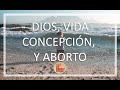 Dios, Vida, Concepcion y Aborto (1)