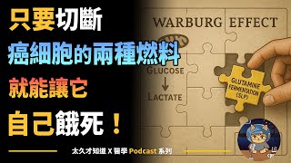 只要切斷癌細胞的兩種燃料，就能讓它自己餓死！