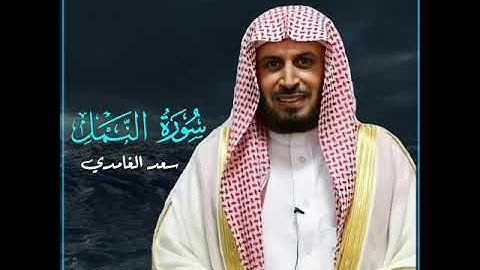 سعد الغامدي| حالات واتس اب دينية سورة النمل 🥰💛