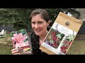 Planting Lily Bulbs ?? How to Plant Lilies in the Spring Flower Garden (Beginner Gardening Tips)