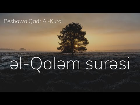 Qaləm surəsi - Peshawa Qadr Al Kurdi | Kalem Suresi | سورة القلم