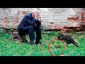 カラスの恩返し!カラスが持って来たものを見て、老人は泣き崩れました