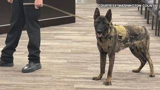 New sheriff's K-9 Hank to bolster narcotics detection, tracking in Washington County