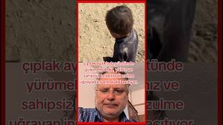 Kalbim yanıyor batıyor #duet #siyaset #sokak #funny #love #din #insan #humanity