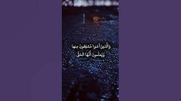 #تلاوات #اكسبلور #تلاوة_خاشعة #راحة_نفسية #القرآن_الكريم #لايك #تلاوات_خاشعة #تيك_توك #quran