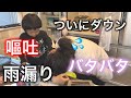 【妊婦ママ】がダウン！子育て休まず…嘔吐でソファ終了！娘は風邪！雨漏り大惨事！