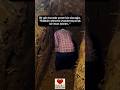 İman isterim … #islam #shorts #viral #dua #keşfet #youtubeshorts #love #ilahirahmet