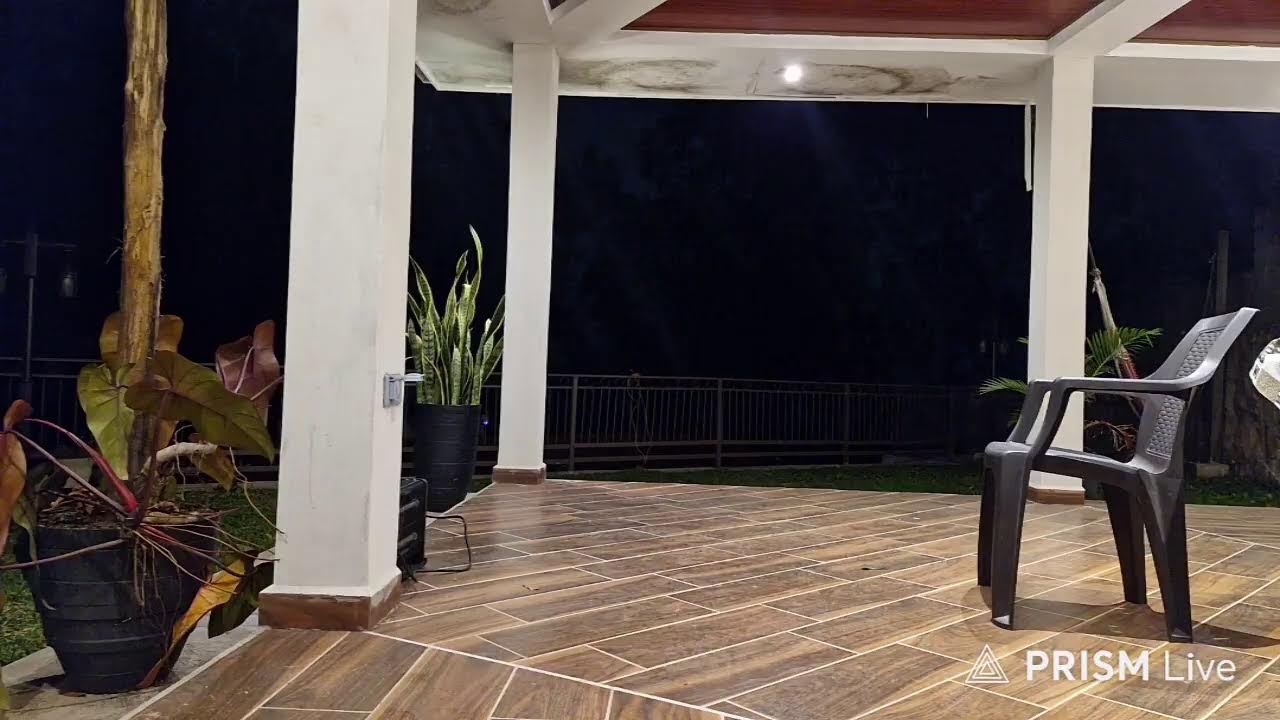 Me siento feliz con mi transexualidad 