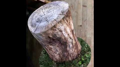 XR177 Trino 3D AR in real world