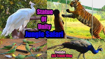 Statue of Unity Jungle Safari Lion,Tiger,Leopard,Post Lockdown,World